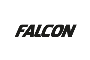 Falcon Logo Ab Web